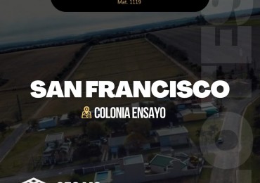 LOTEO SAN FRANCISCO - COLONIA ENSAYO