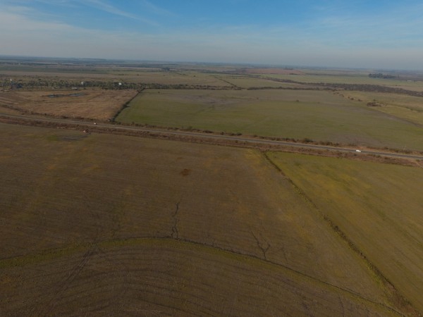 VENTA - CAMPO SOBRE RUTA 10