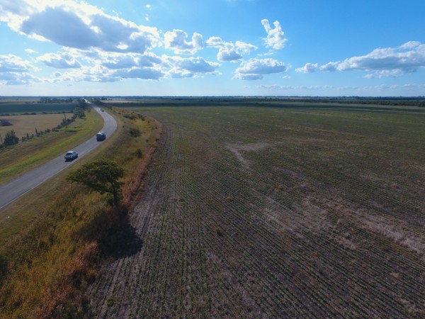 VENTA - CAMPO SOBRE RUTA 10