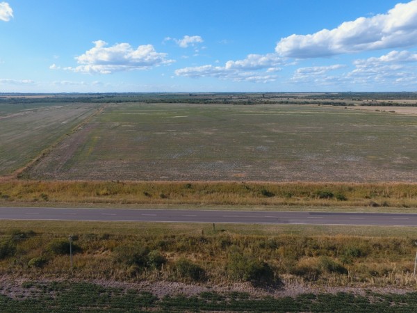 VENTA - CAMPO SOBRE RUTA 10