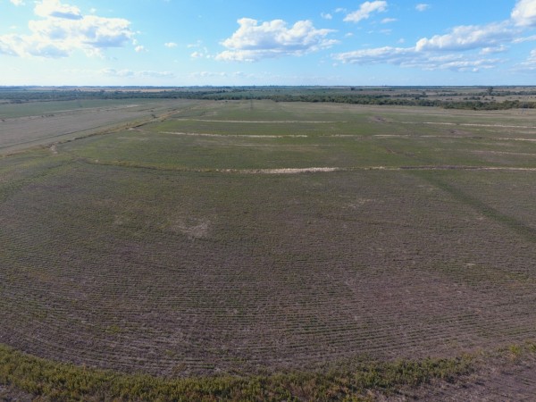 VENTA - CAMPO SOBRE RUTA 10
