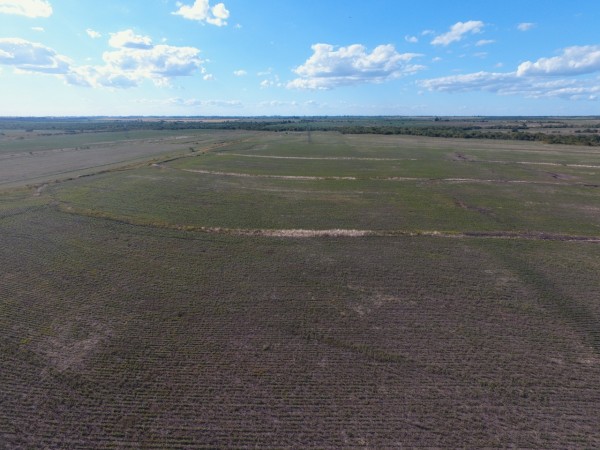 VENTA - CAMPO SOBRE RUTA 10