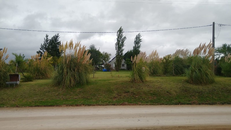 VENTA - TERRENO - PEDRO LONDERO