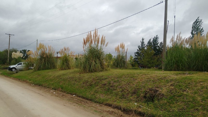 VENTA - TERRENO - PEDRO LONDERO