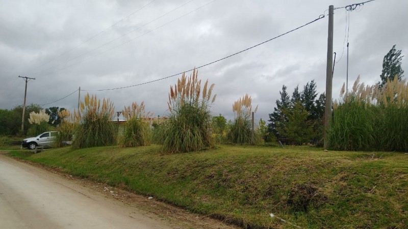 VENTA - TERRENO - PEDRO LONDERO