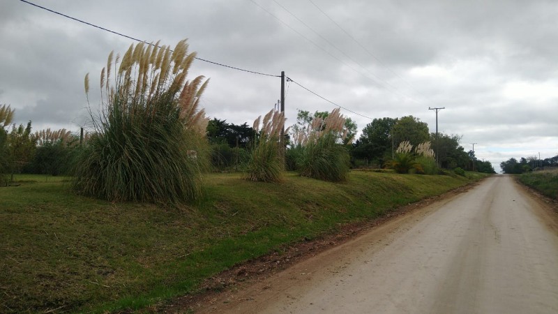 VENTA - TERRENO - PEDRO LONDERO