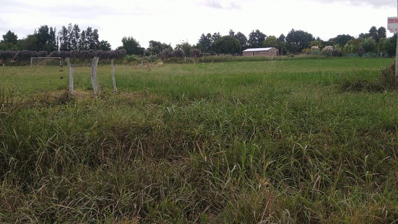 VENTA - TERRENO - ZONA DON BOSCO