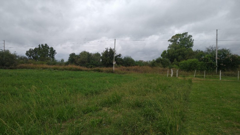 VENTA - TERRENO - ZONA DON BOSCO