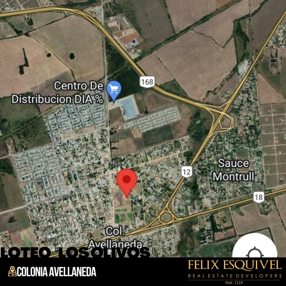 NUEVO LOTEO “LOS OLIVOS” EN EL MEJOR PUNTO DE COLONIA AVELLANEDA
