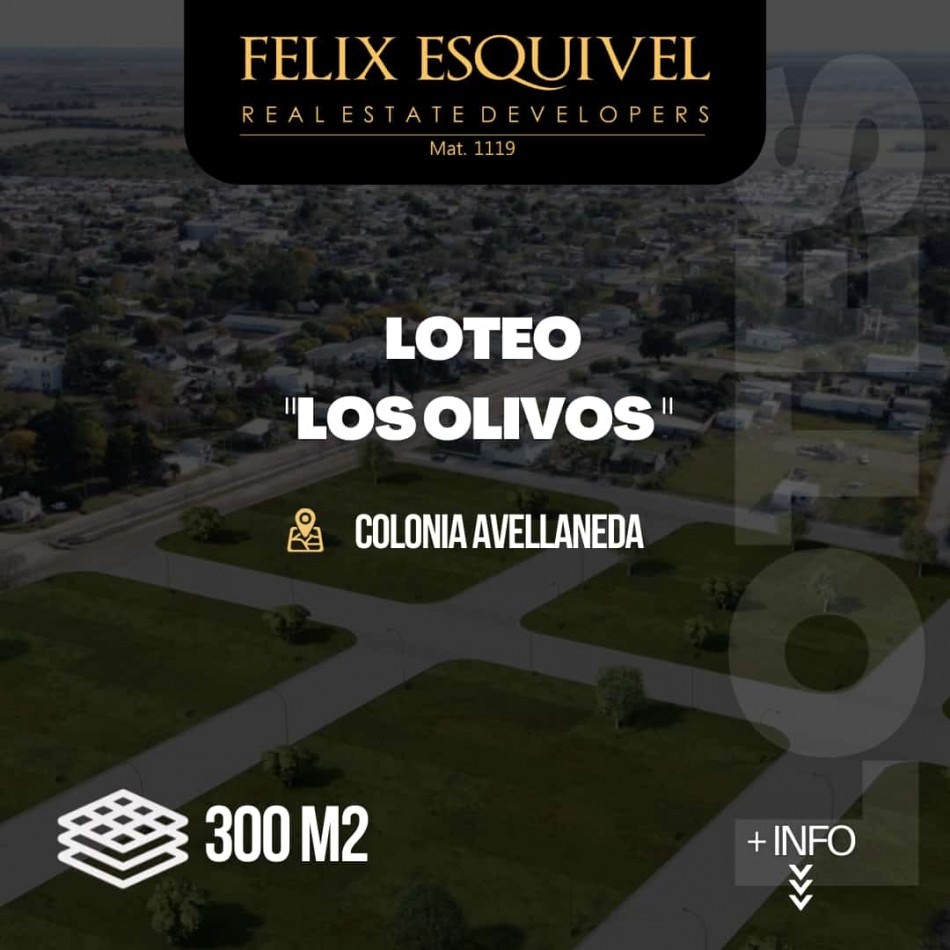 NUEVO LOTEO “LOS OLIVOS” EN EL MEJOR PUNTO DE COLONIA AVELLANEDA