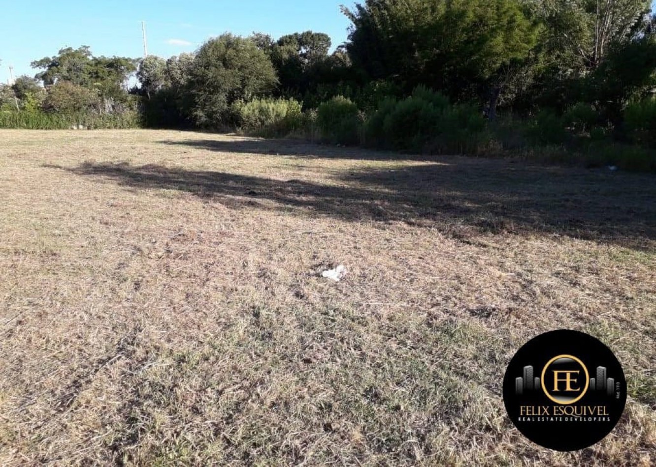 VENTA - LOTE DE 15 X 50 MTS - SAN BENITO