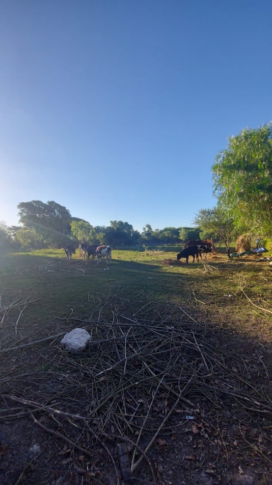 VENTA - LOTE 300 M2 - LOS JUNQUILLOS