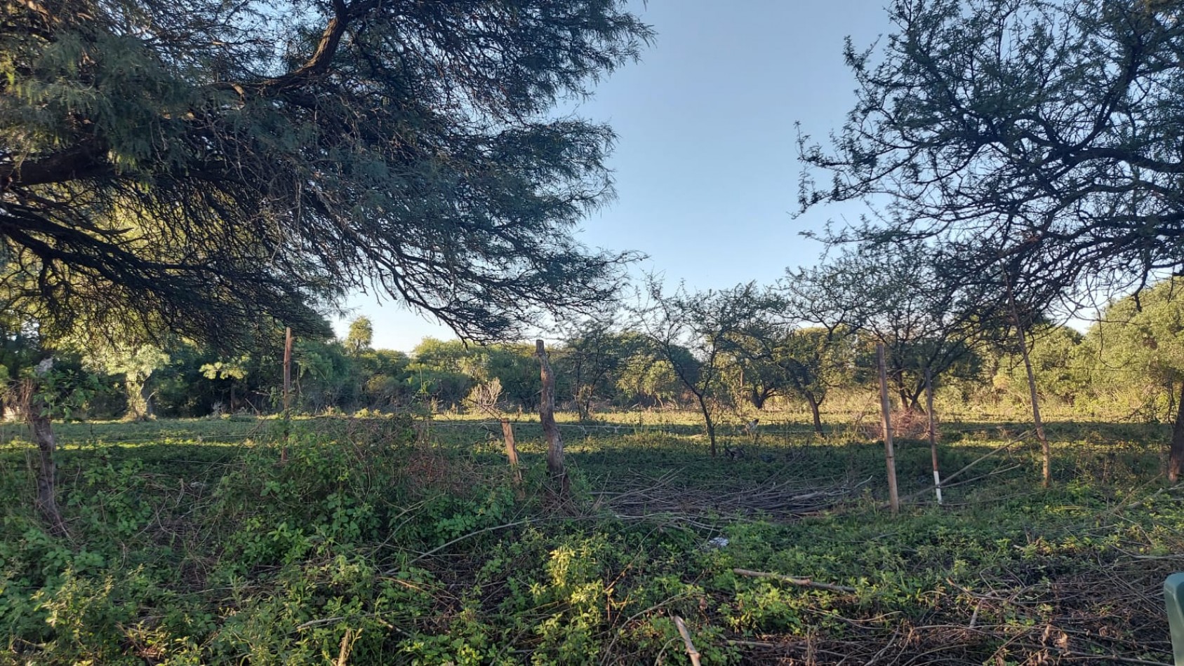 VENTA - LOTE 300 M2 - LOS JUNQUILLOS