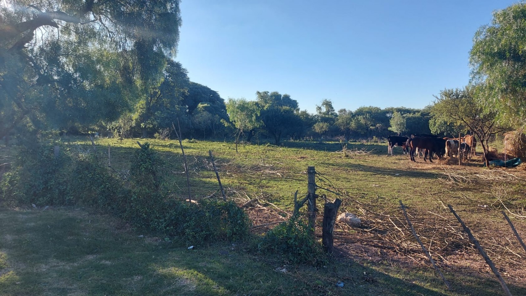 VENTA - LOTE 300 M2 - LOS JUNQUILLOS