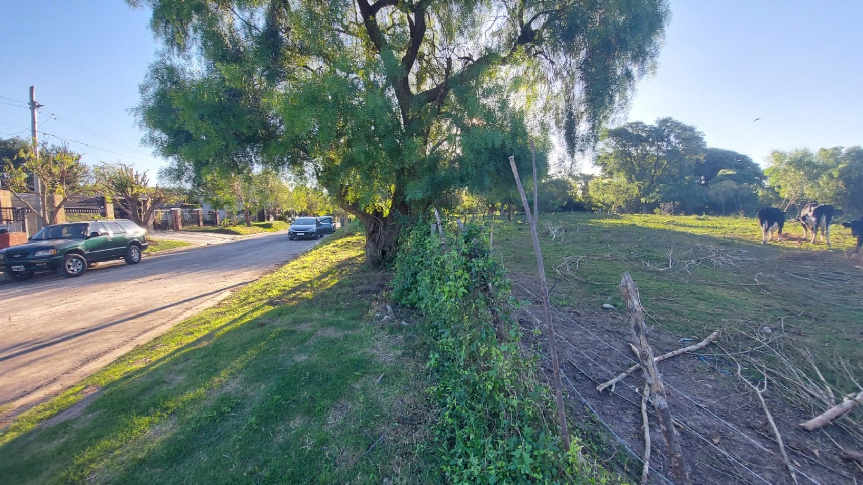 VENTA - LOTE 300 M2 - LOS JUNQUILLOS