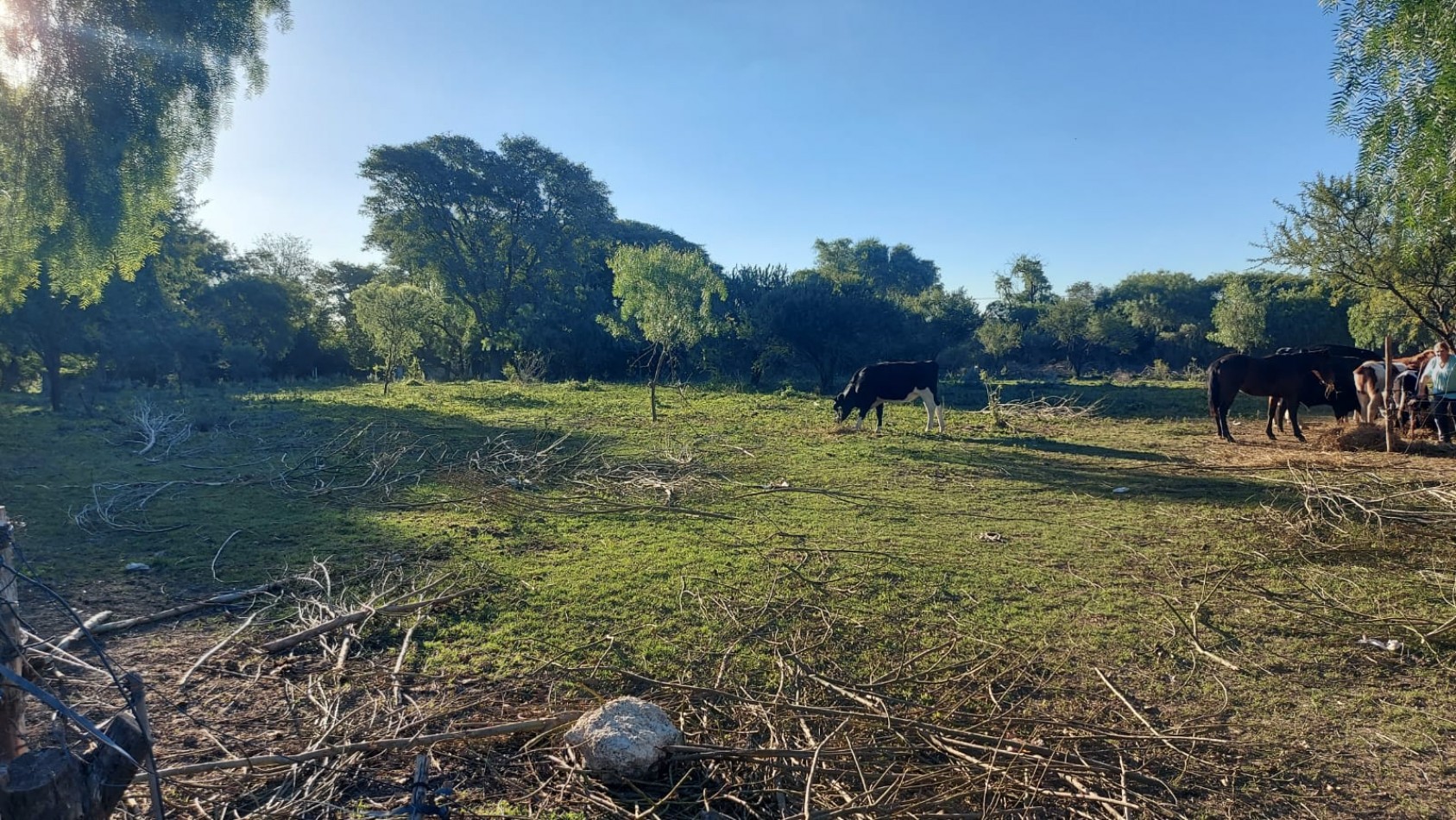 VENTA - LOTE 300 M2 - LOS JUNQUILLOS
