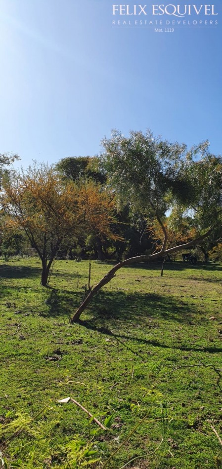 VENTA - LOTE 300 M2 - LOS JUNQUILLOS