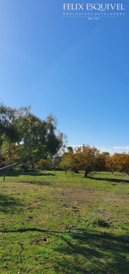 VENTA - LOTE 300 M2 - LOS JUNQUILLOS