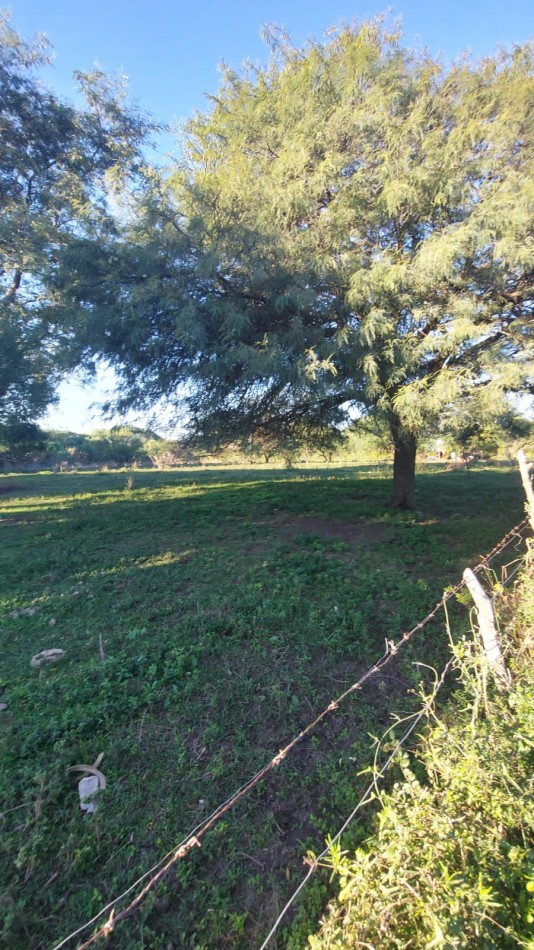 VENTA - LOTE 300 M2 - LOS JUNQUILLOS