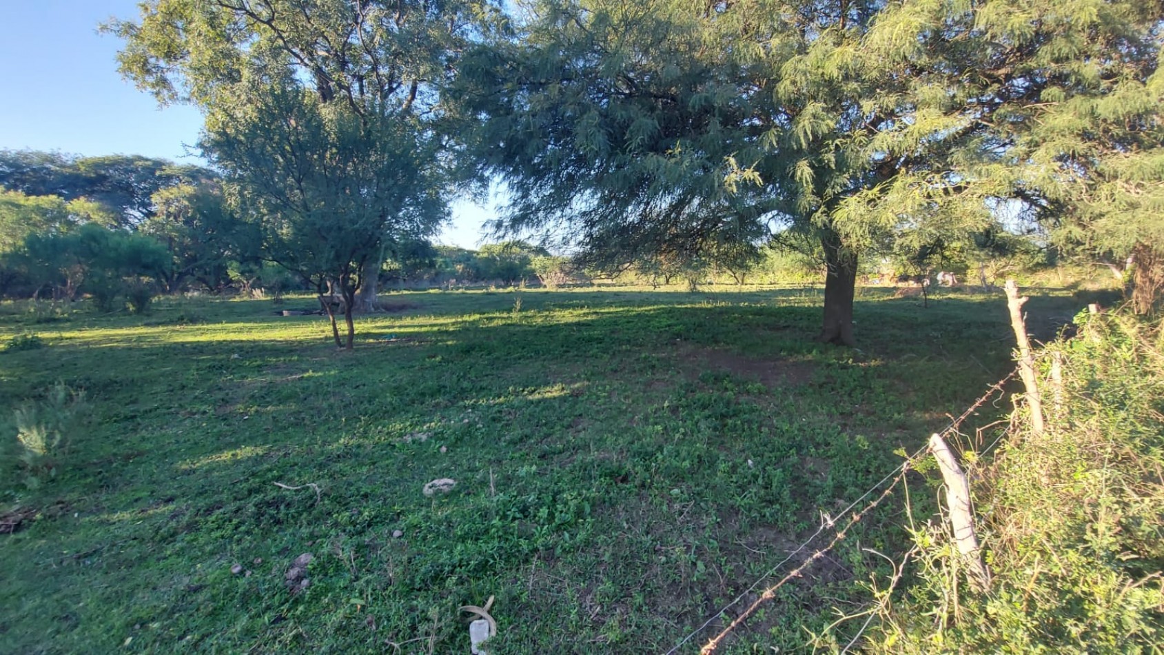 VENTA - LOTE 300 M2 - LOS JUNQUILLOS
