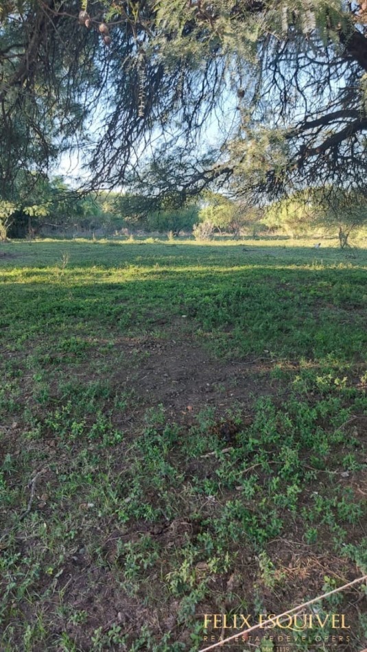 VENTA - LOTE 300 M2 - LOS JUNQUILLOS