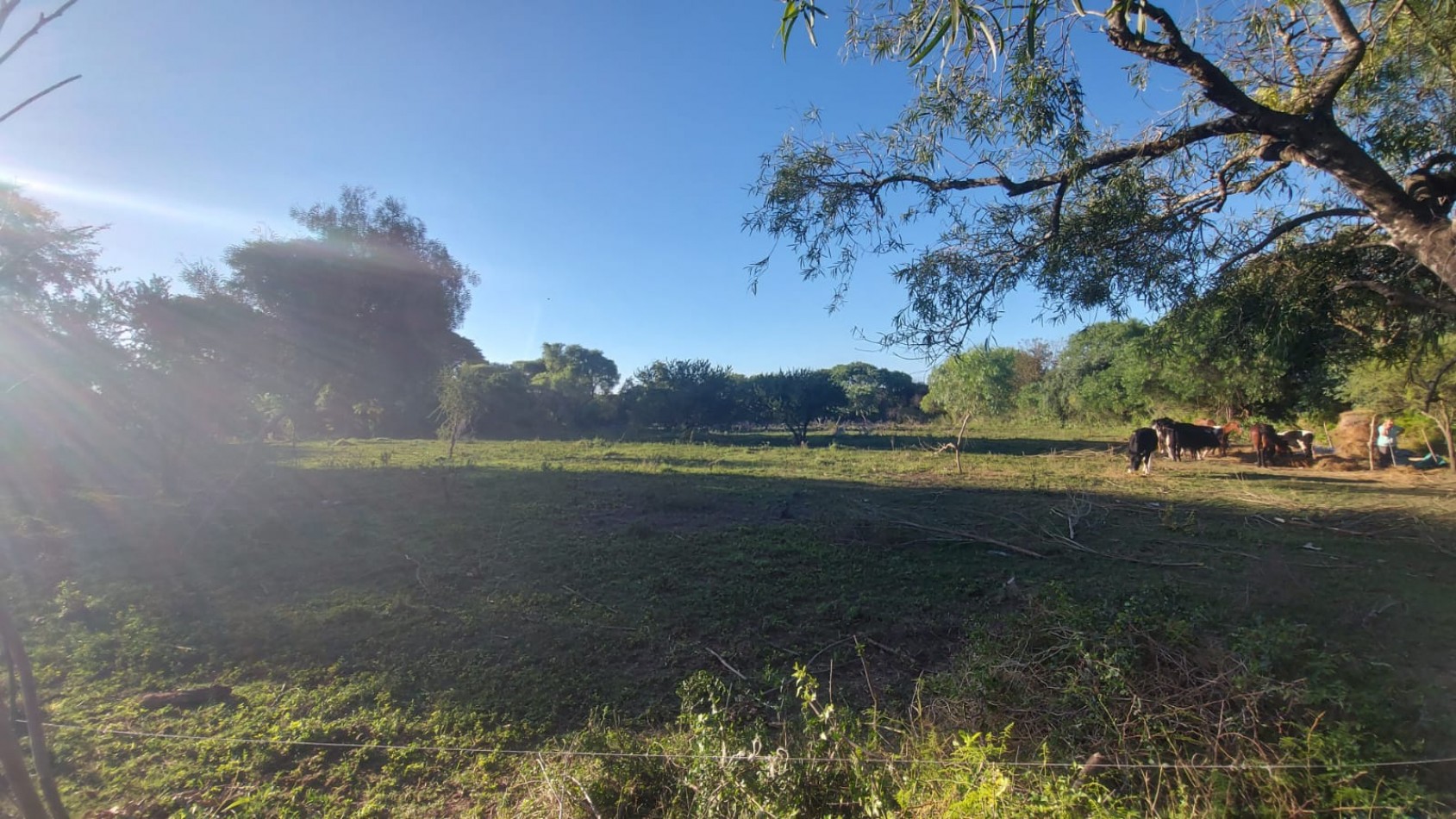 VENTA - LOTE 300 M2 - LOS JUNQUILLOS