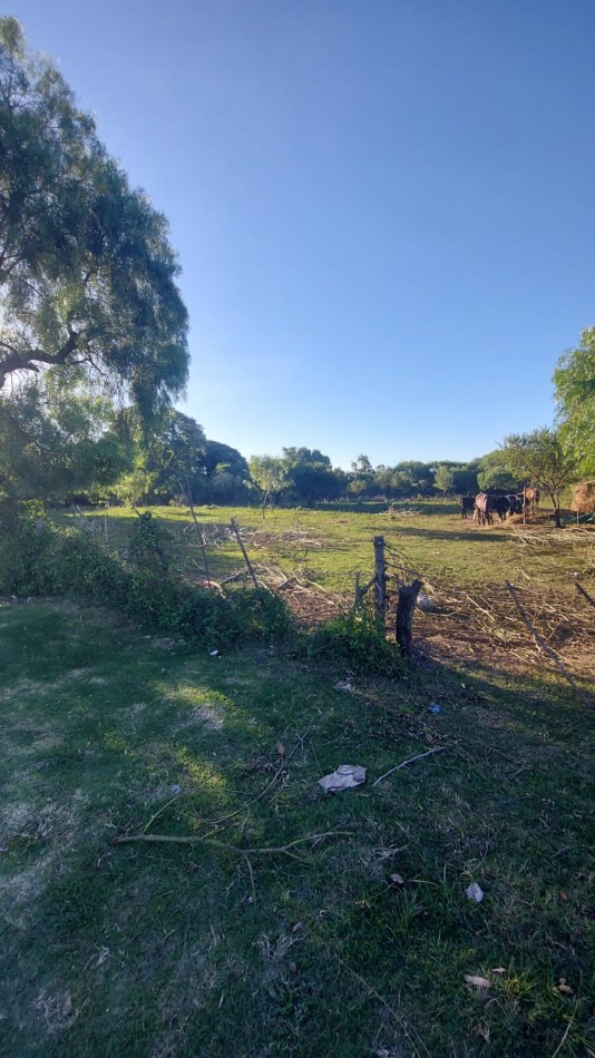 VENTA - LOTE 300 M2 - LOS JUNQUILLOS