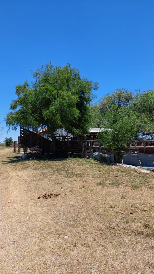 VENTA - CAMPO RUTA 18