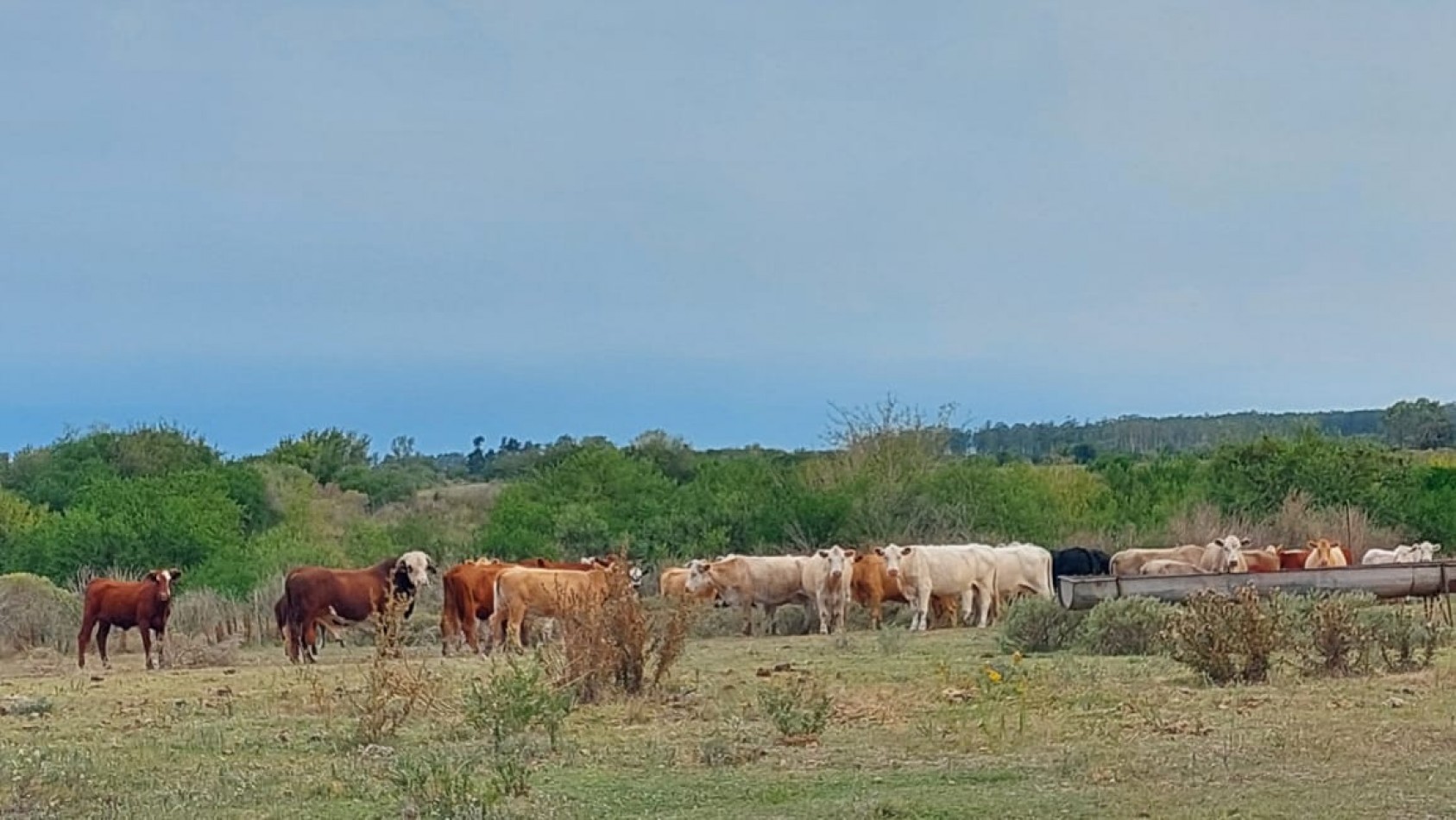 VENTA - CAMPO RUTA 18