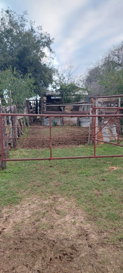 VENTA - CAMPO RUTA 18