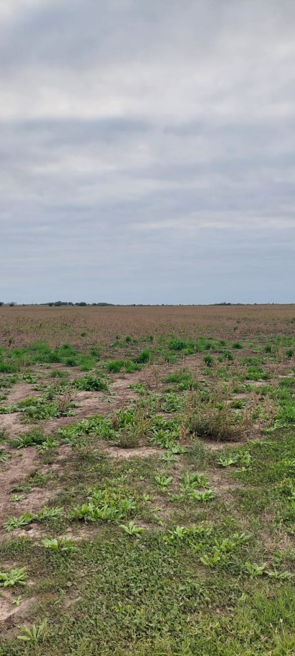 VENTA - CAMPO RUTA 18