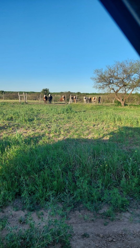 VENTA - CAMPO RUTA 18
