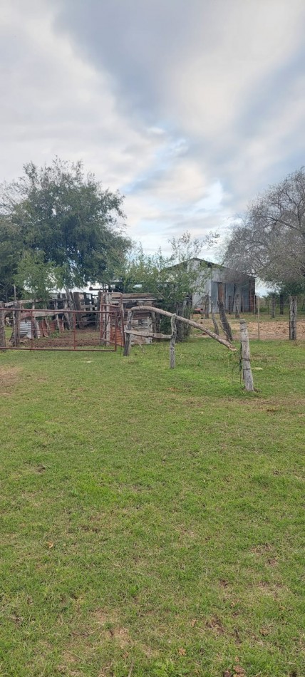 VENTA - CAMPO RUTA 18