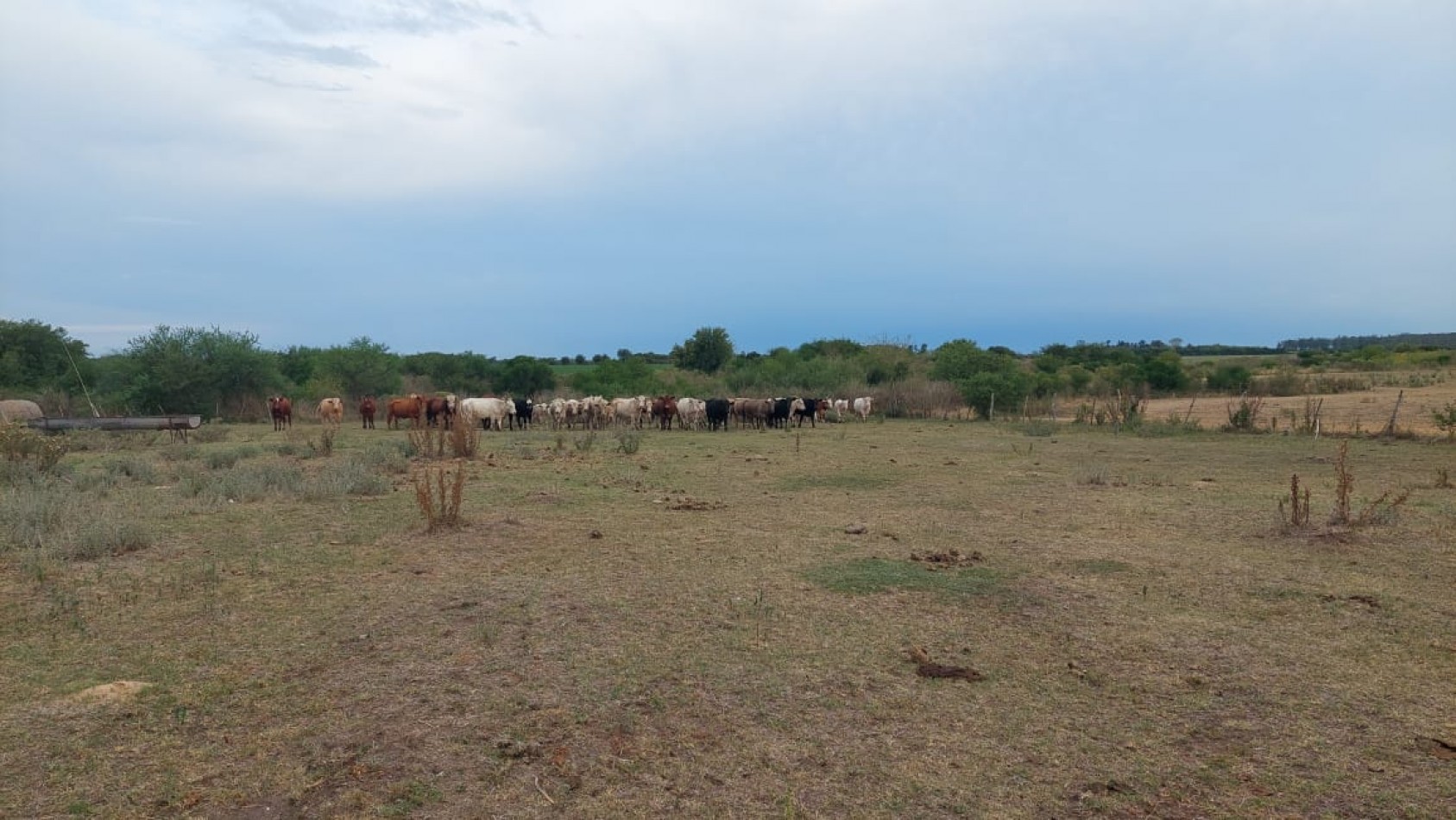 VENTA - CAMPO RUTA 18