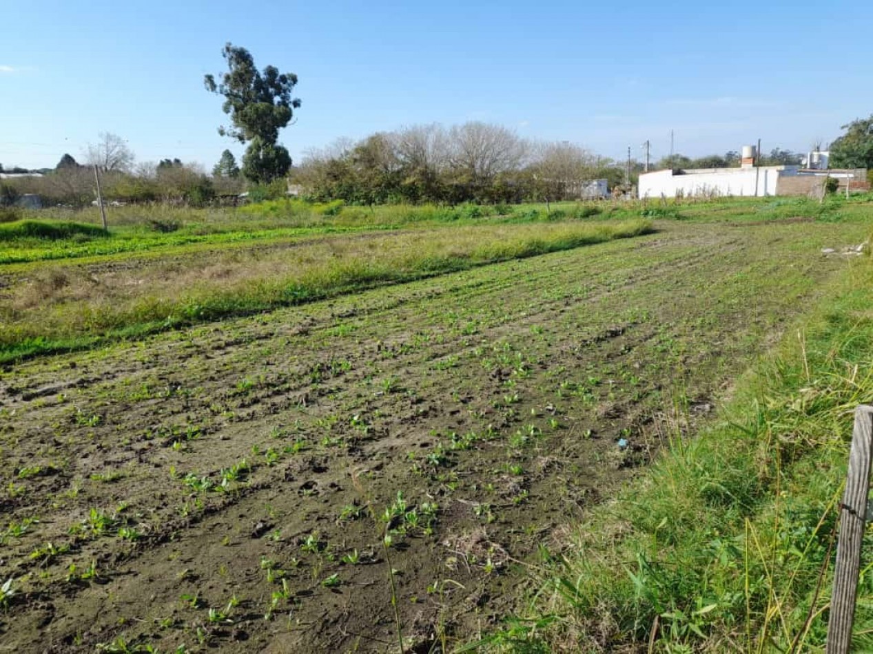 VENTA - DOS LOTES - ZONA NEWBERY Y MIGUEL DAVID