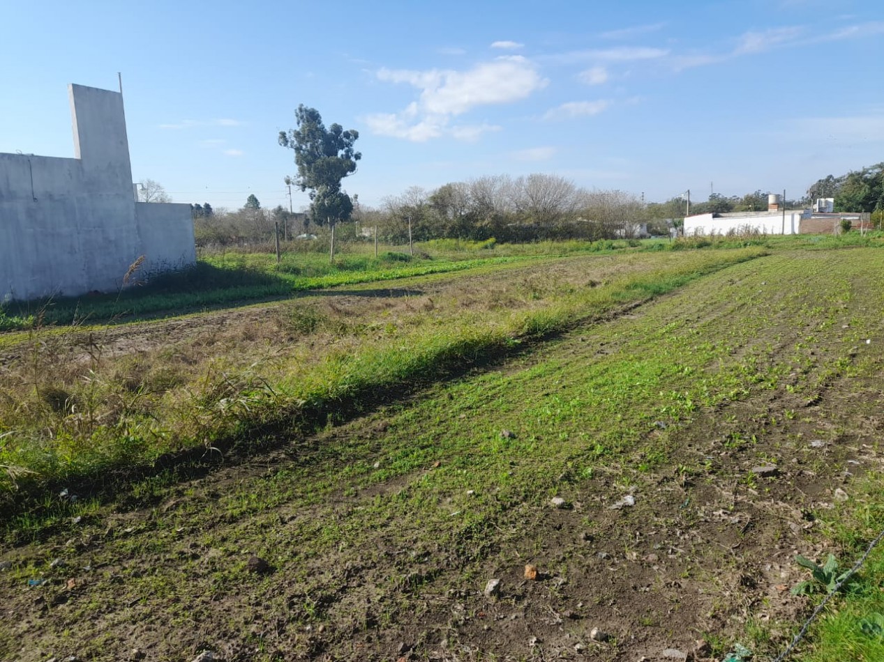 VENTA - DOS LOTES - ZONA NEWBERY Y MIGUEL DAVID