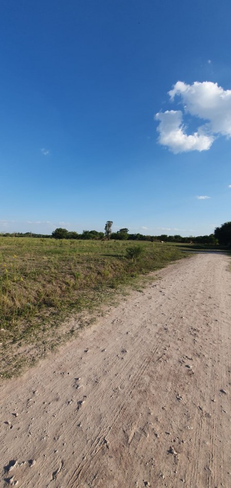 VENTA - LOTEO SAN BENITO - ZONA SAN BENITO