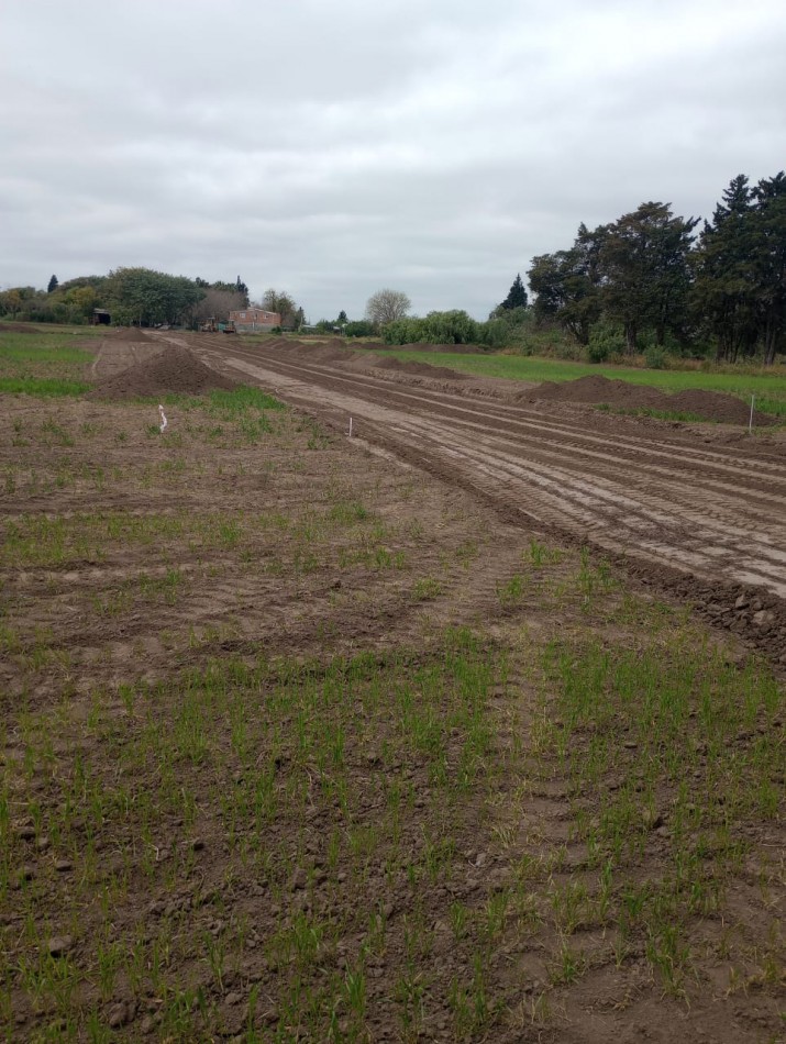 VENTA - LOTES - ZONA PARACAO
