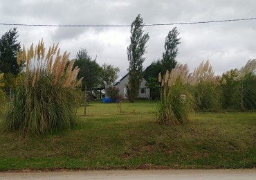VENTA - TERRENO - PEDRO LONDERO