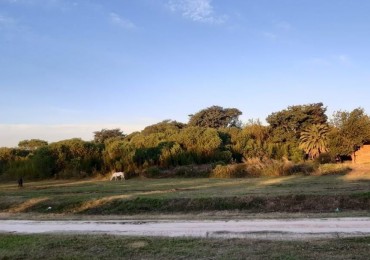 OPORTUNIDAD - Terrenos en VENTA - 