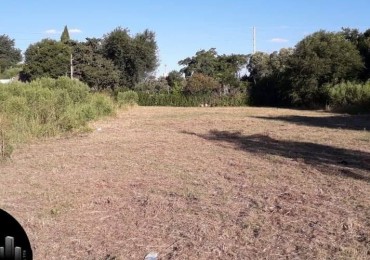 VENTA - LOTE DE 15 X 50 MTS -  SAN BENITO