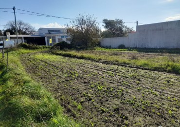 VENTA - DOS LOTES - ZONA NEWBERY Y MIGUEL DAVID